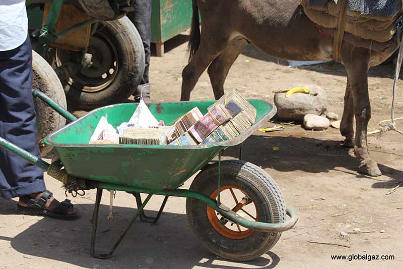 wheelbarrow moving money in somaliland