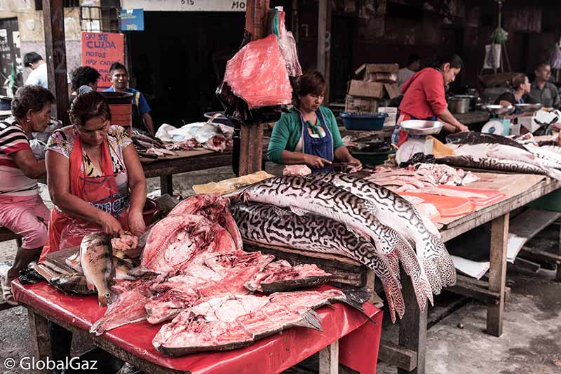 fish belan market