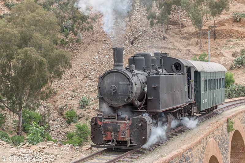 eritrean train