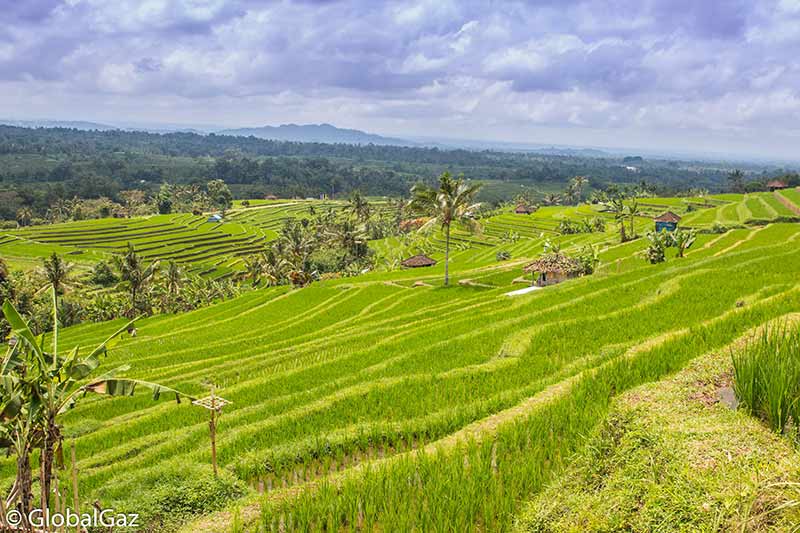 Bali–Must-See