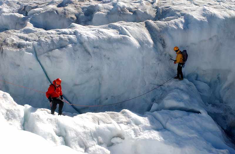 Finding the Wildlife of Greenland - GlobalGaz