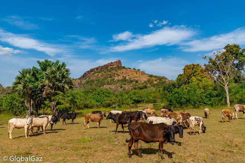 Visiting West Burkina Faso