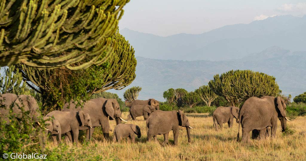 Visiting Queen Elizabeth National Park Uganda