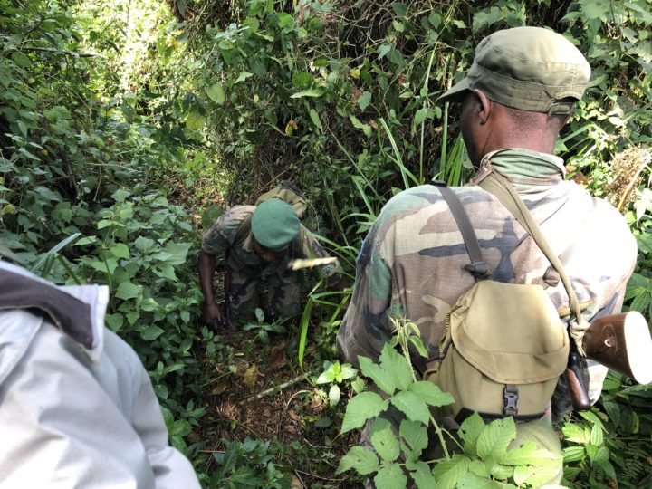 Trekking Gorillas Kahuzi-Biega National Park