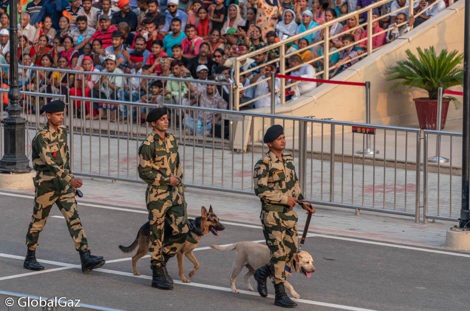 dogs at wagah ceremony