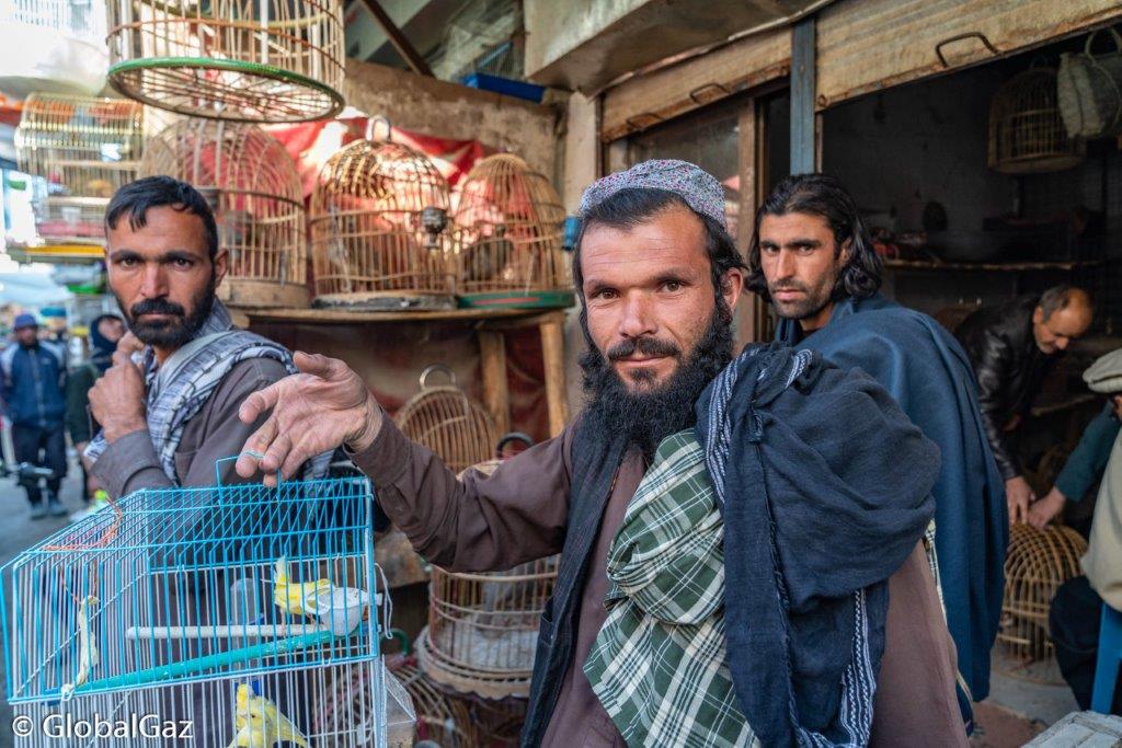 afghan man in bird market