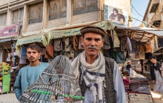 bird market, afghanistan