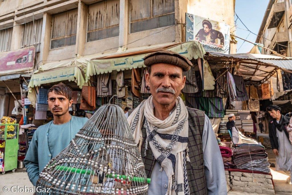 bird market, afghanistan