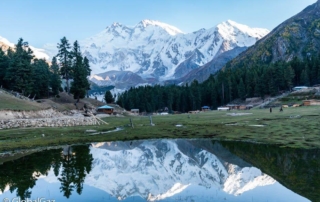 Fairy Meadows