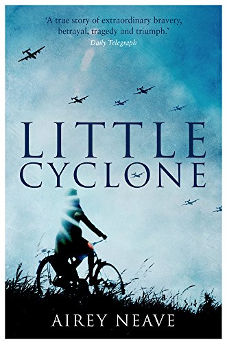 Little Cyclone