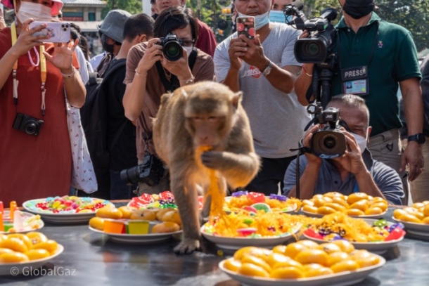 Lopburi Monkey Festival - GlobalGaz Hang With Monkeys