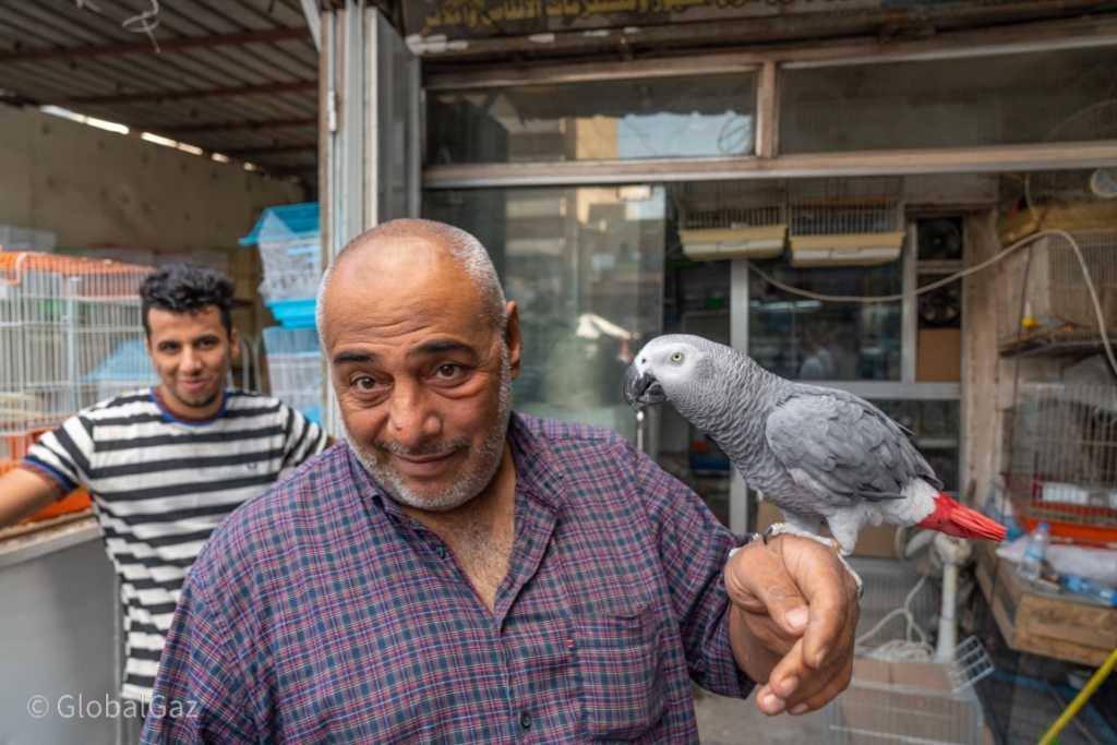 man at pet market in baghdad