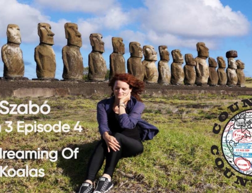 Ildiko Szabo … Daydreaming Of Koalas
