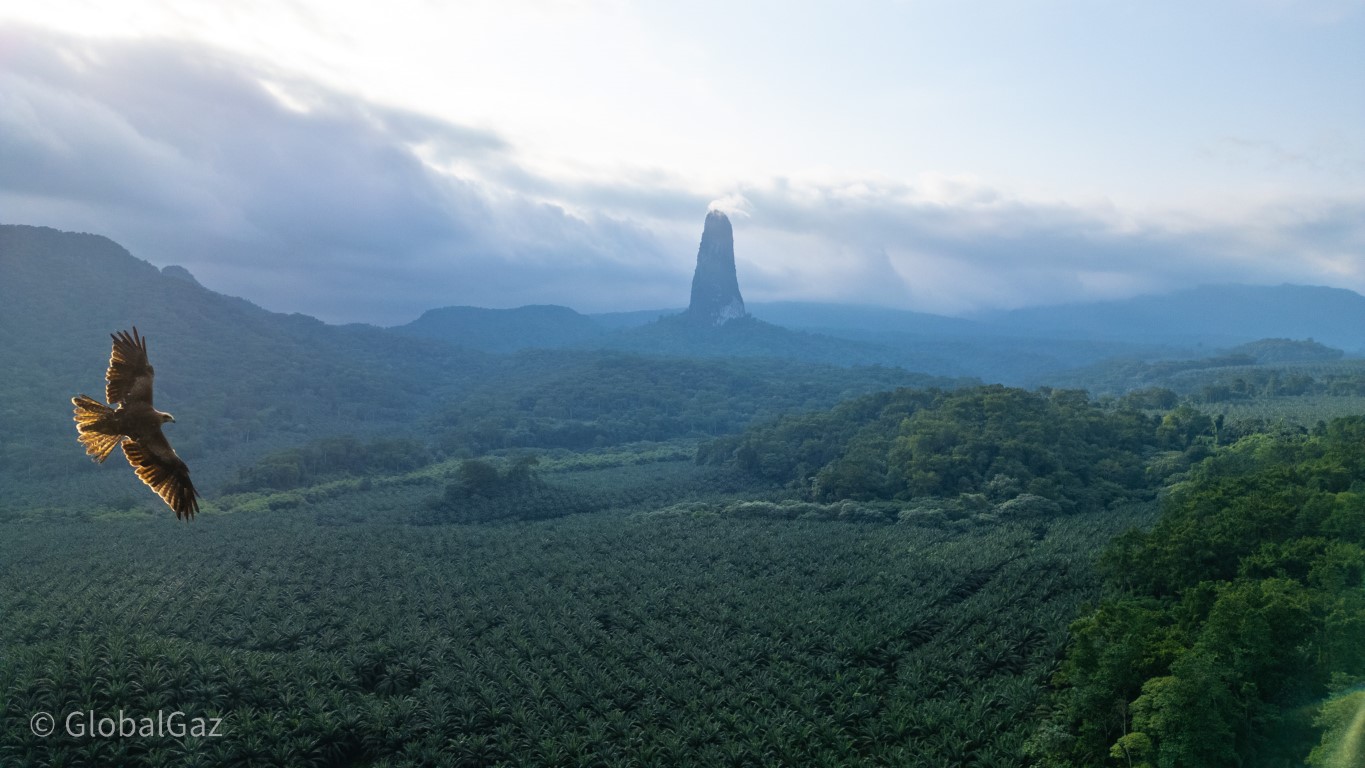 Pico Cão Grande