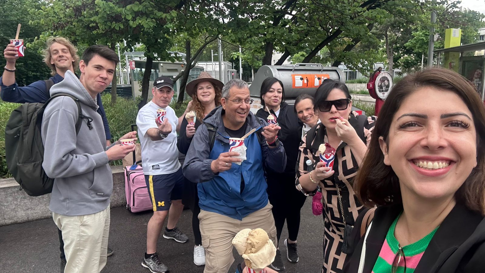 vienna tichy ice cream